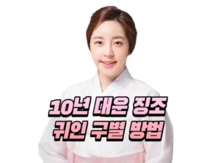 10년 대운 징조 - 귀인구별법