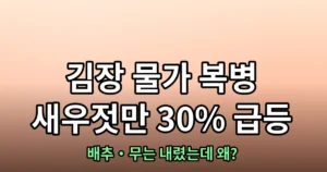 김장 물가 복병은 새우젓｜배추·무 내렸는데 새우젓만 30% 오른 이유와 아끼는 법